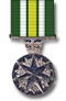 Clan Service: Meritorious Service